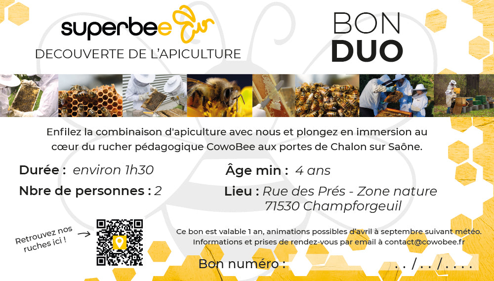 Bon découverte de l'apiculture